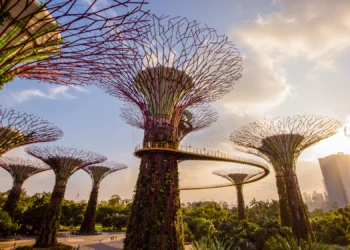 Singapore Bets S$220 Million on AI to Build Its Next Fintech Advantage