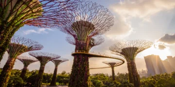 Singapore Bets S$220 Million on AI to Build Its Next Fintech Advantage